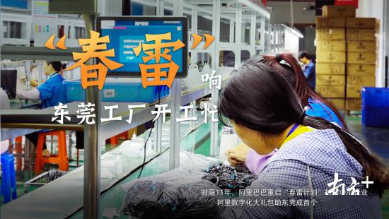 开阔销售渠道 东莞企业淘宝直播数量排名全国第一